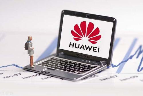 国产福利1000,1000项福利政策全面解读